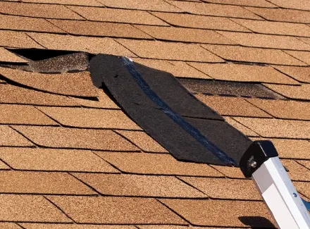 emergency roof repair
