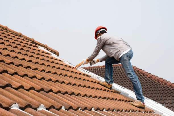 Roof Maintenance and Prevention